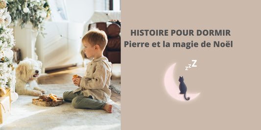 HISTOIRE POUR DORMIR : Pierre et la magie de Noël