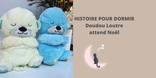 HISTOIRE POUR DORMIR : Doudou Loutre attend Noël