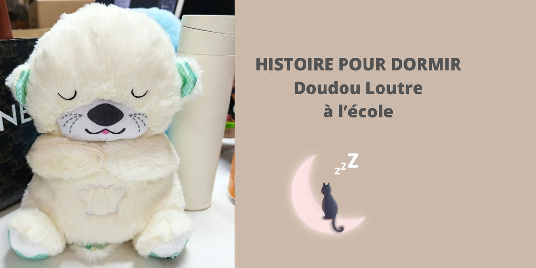 HISTOIRE POUR DORMIR : Doudou Loutre à l'école