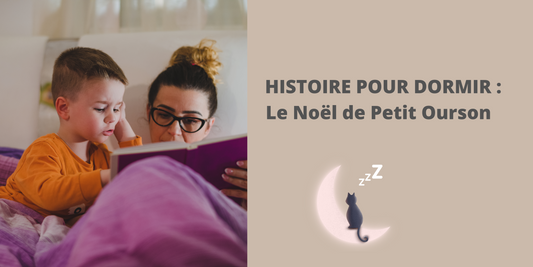 HISTOIRE POUR DORMIR : Le Noël de Petit Ourson